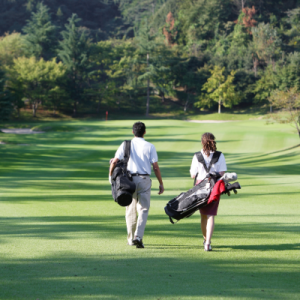 Untitled design - 2026-04-17T183924.231